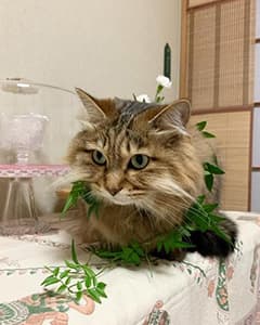 暖(だん)ちゃん