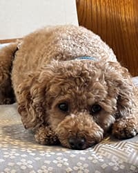 まーたろうちゃん