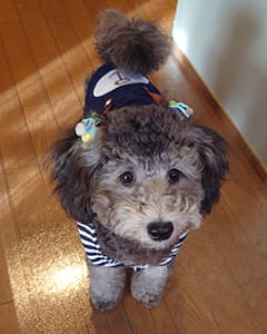 ゆきちちゃん