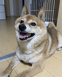 コタロウちゃん