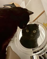 バーボンちゃん