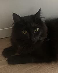 サンゴロウちゃん