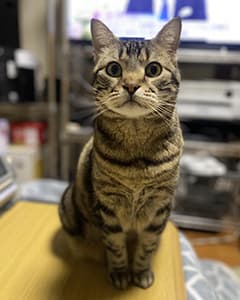 ミミちゃん