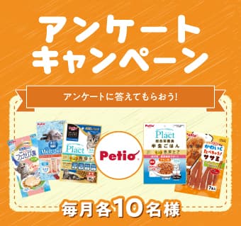 PetioPresents!アンケートに答えてペットグッズをプレゼント!