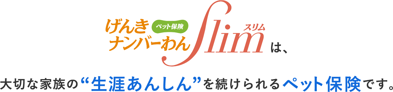 ペット保険げんきナンバーわんスリムは、大切な家族の生涯安心を続けられるペット保険です。獣医師の88％が推奨