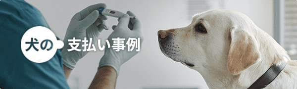 犬の支払い事例