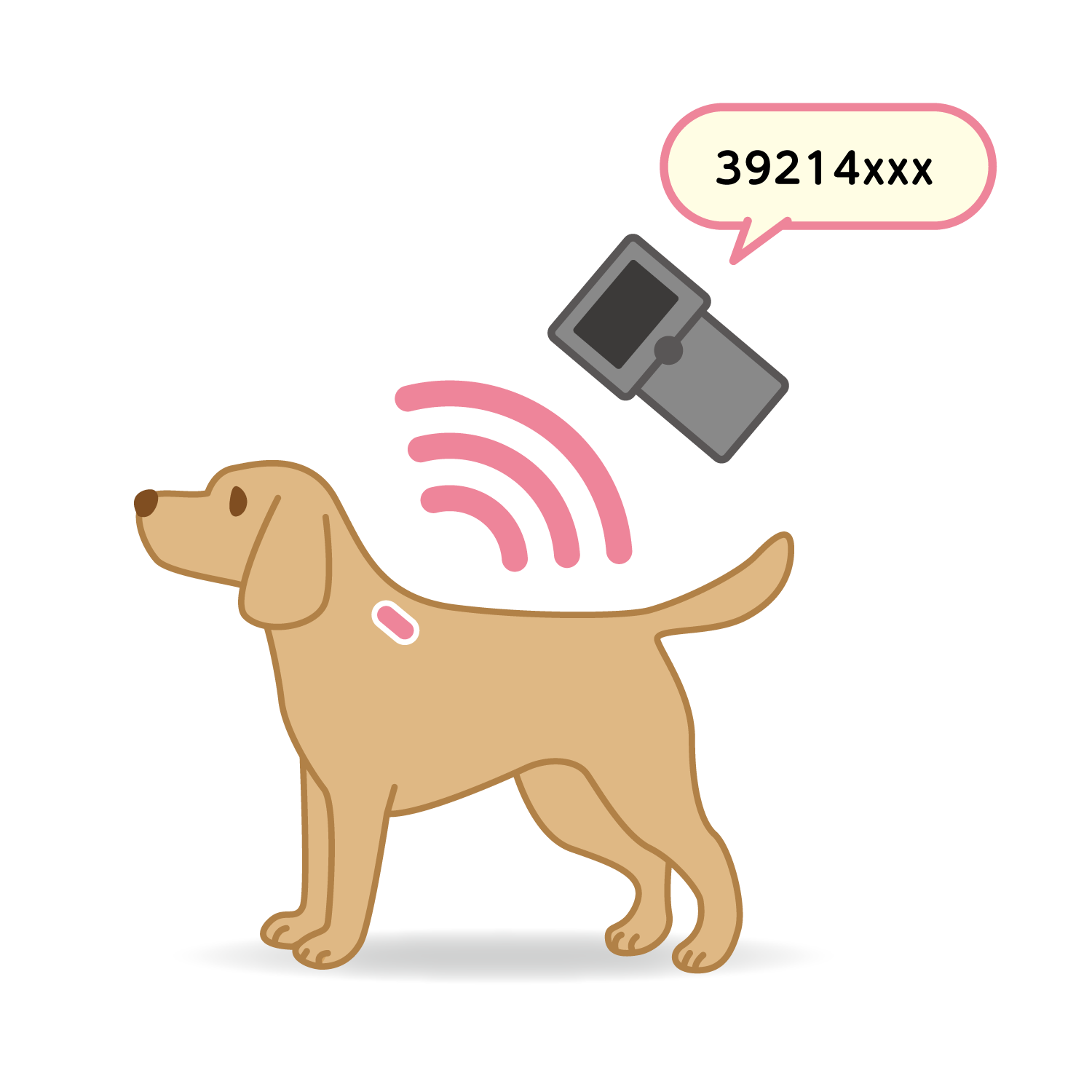 犬猫が迷子になったときにはマイクロチップが役に立つ