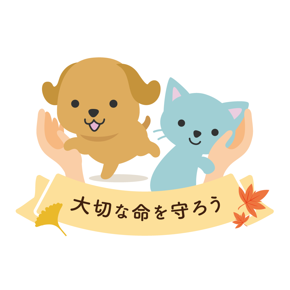 【獣医師監修】人とペットが安心して暮らせる社会をめざして