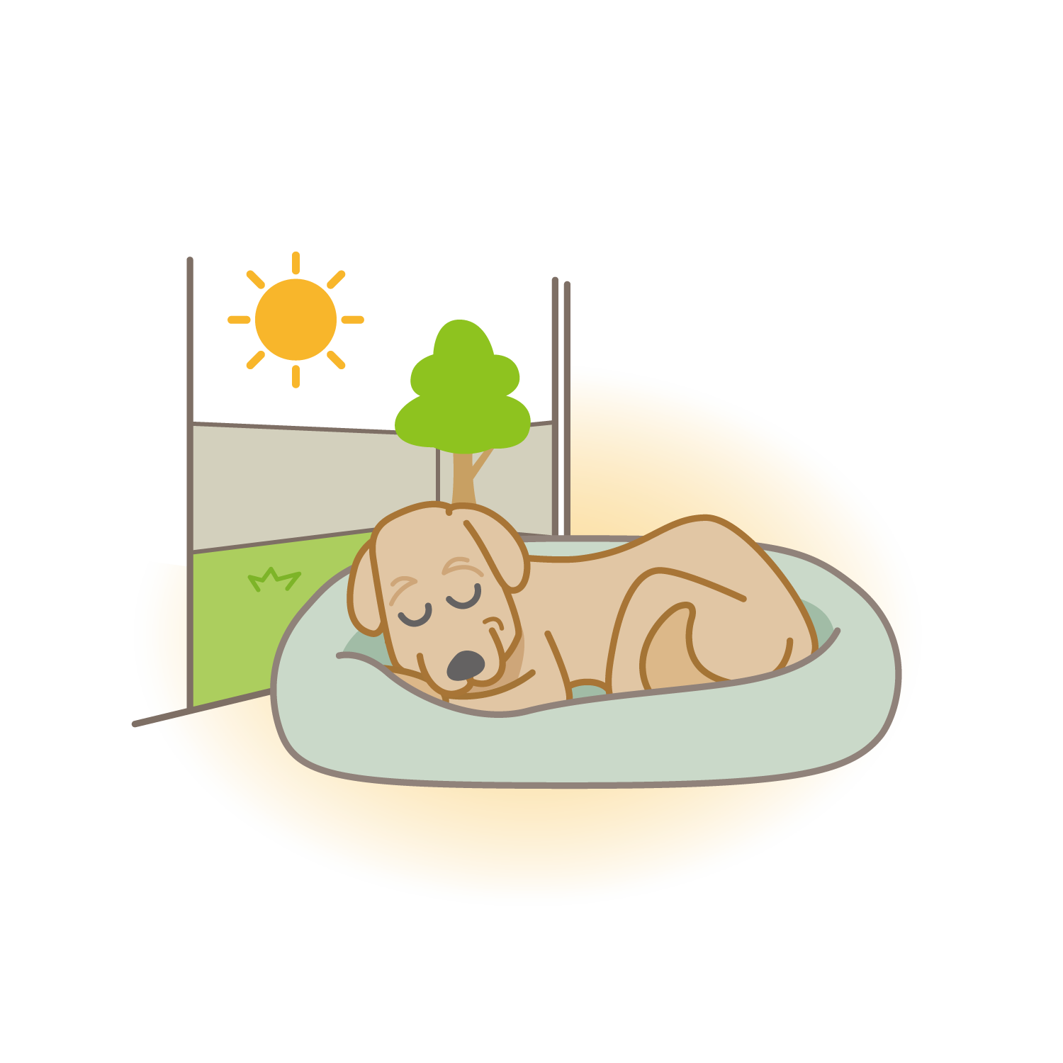 【獣医師監修】シニア期っていつから？備えておくと良 いこととは～7歳を迎える前の方へ～