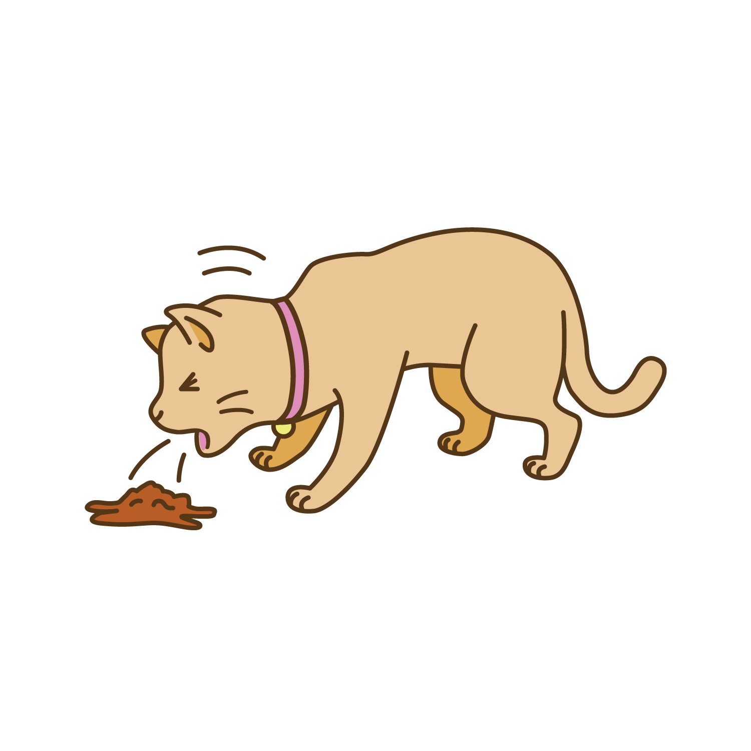 【獣医師監修】フードに関するお悩み解決!Q&A~吐き戻しの対処法~