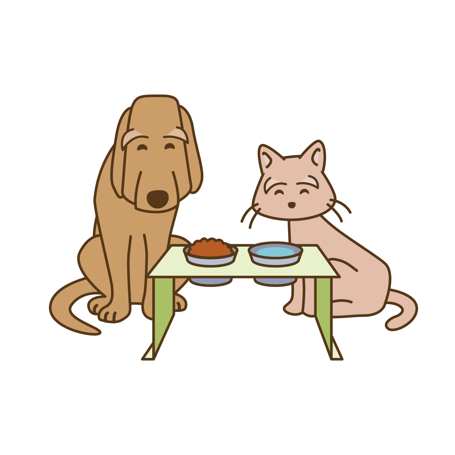 【獣医師監修】フードに関するお悩み解決！Q＆A～高齢の子のフード選びのポイント～