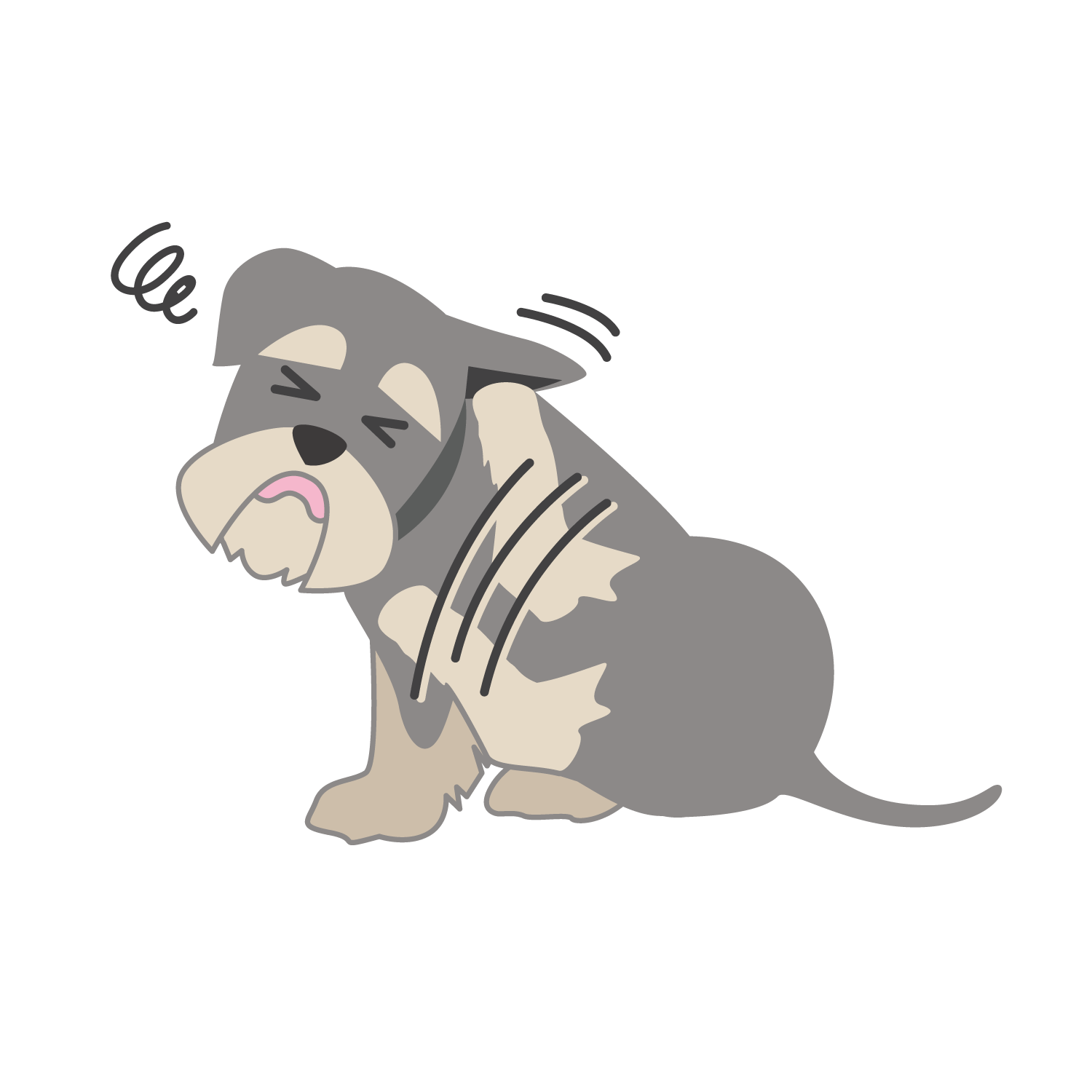 【獣医師監修】犬猫の耳の痒みや赤み、もしかしたら、外耳炎かも? ~日常のケアで外耳炎を予防しよう