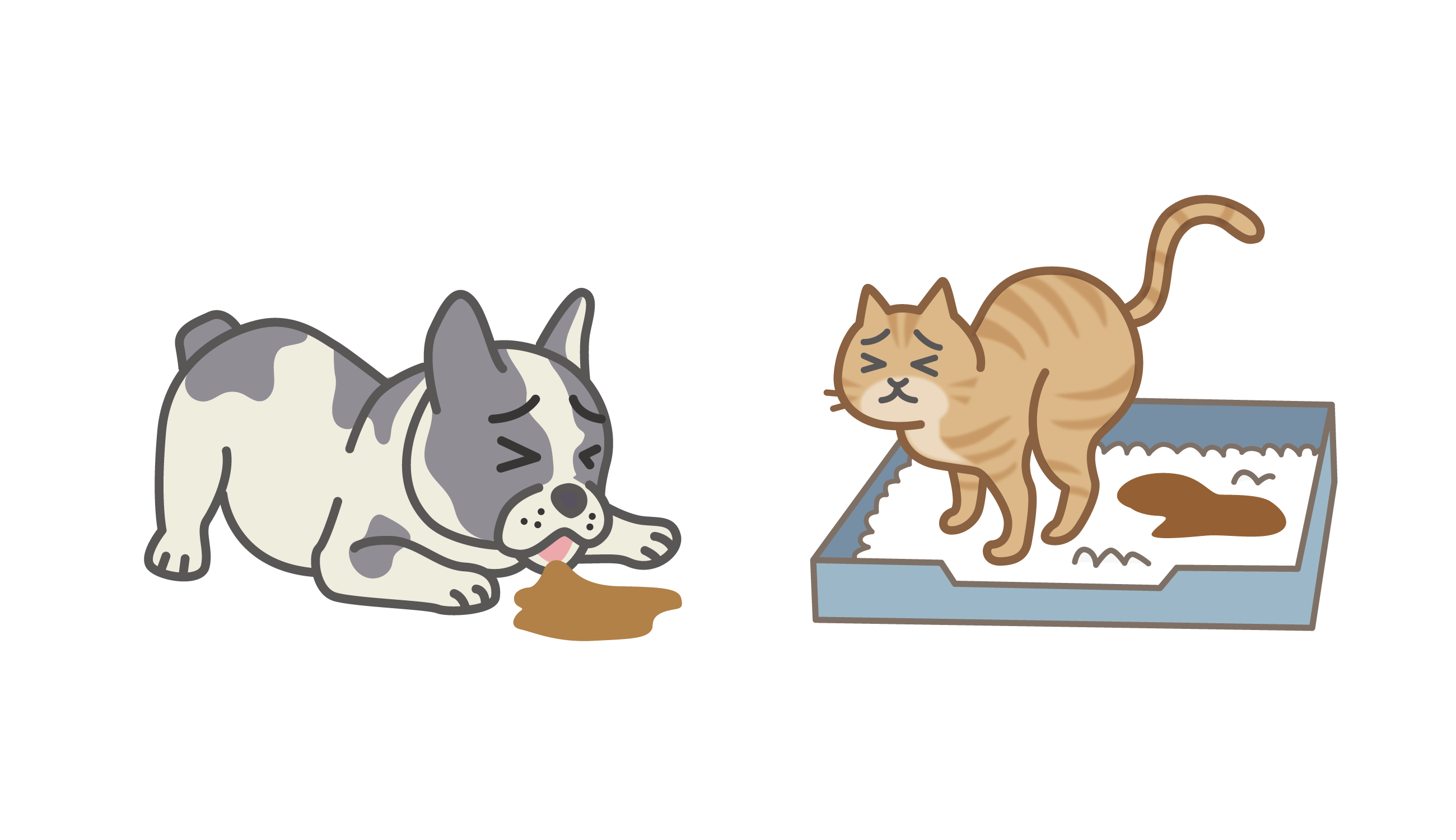 【獣医師監修】幼犬・幼猫~高齢まで多い病気、嘔吐・下痢の予防法を解説!