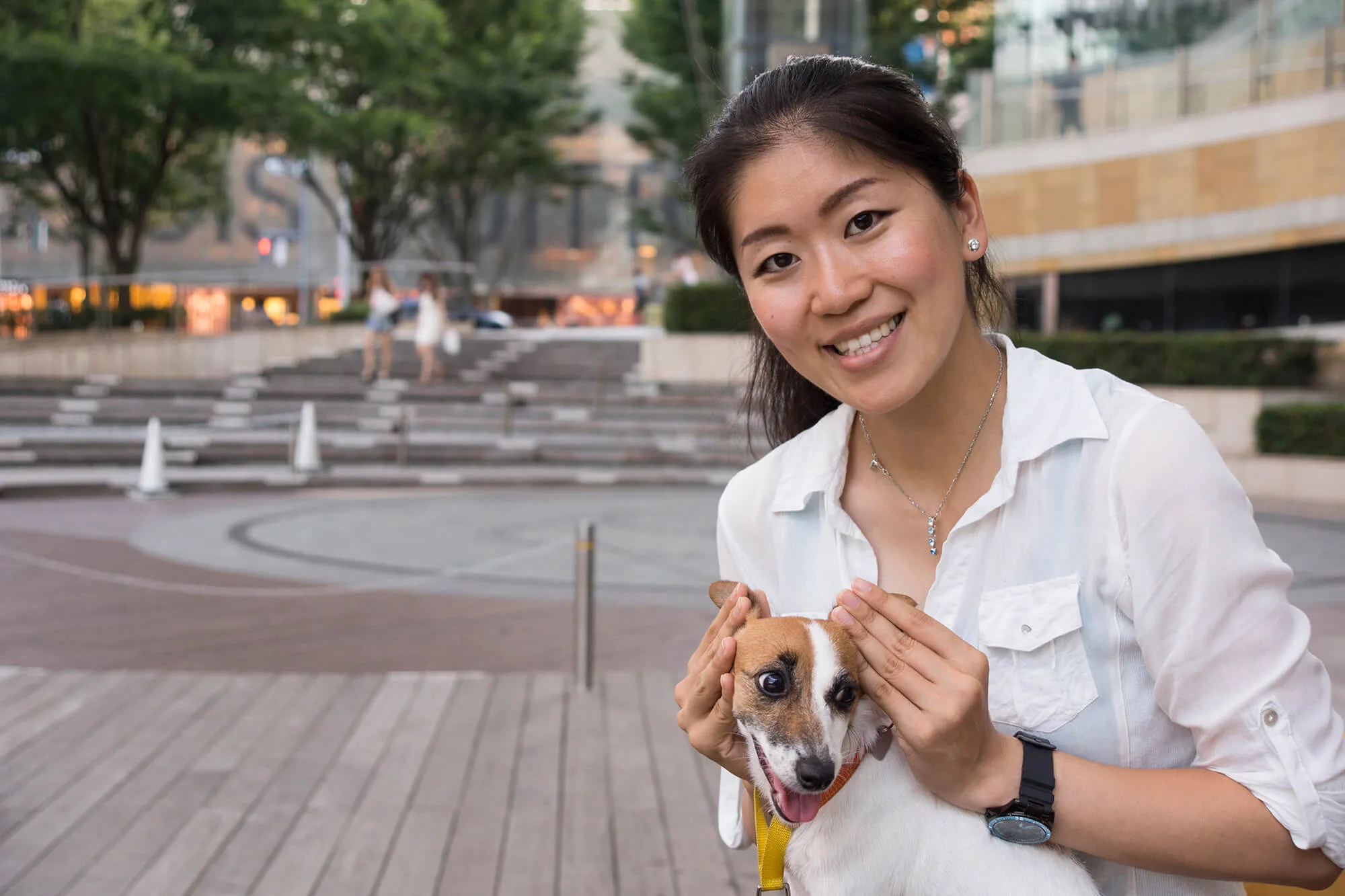 犬に 無駄吠え はない なぜあなたの愛犬は吠えるのか ペットニュースストレージ ペット ファミリー損保 犬に 無駄吠え はない なぜあなたの愛犬は吠えるのか ペットニュースストレージ ペット ファミリー損保