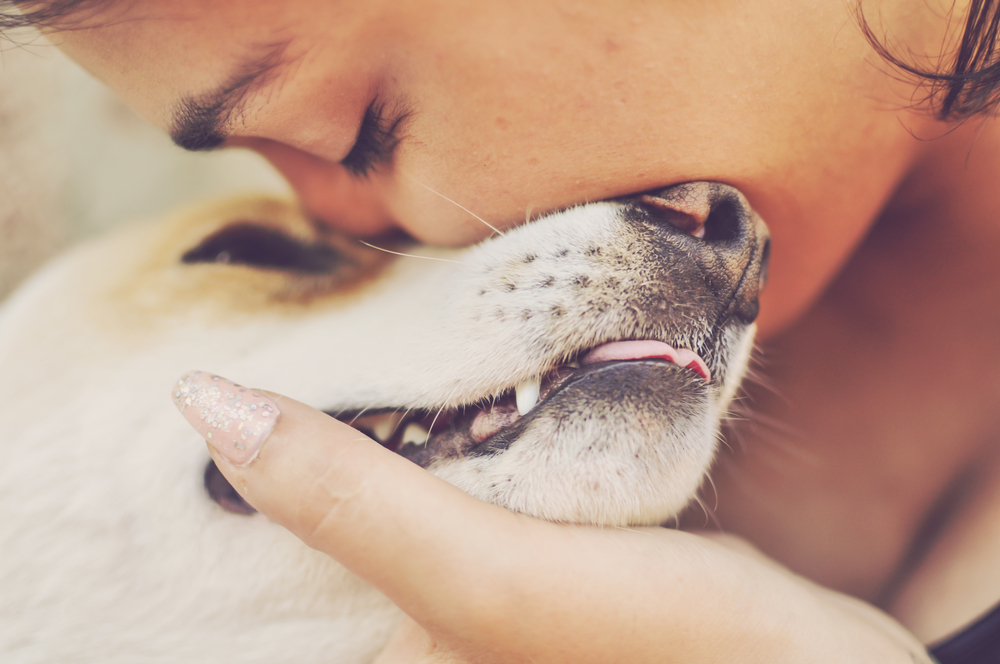 【プロドックトレーナー監修】「犬の気持ちを知る方法とは？仕草や表情別の気持ちを解説