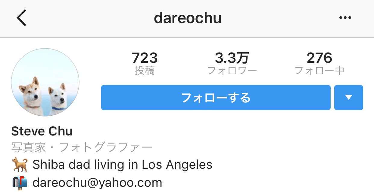 おしゃれ インスタ プロフィール