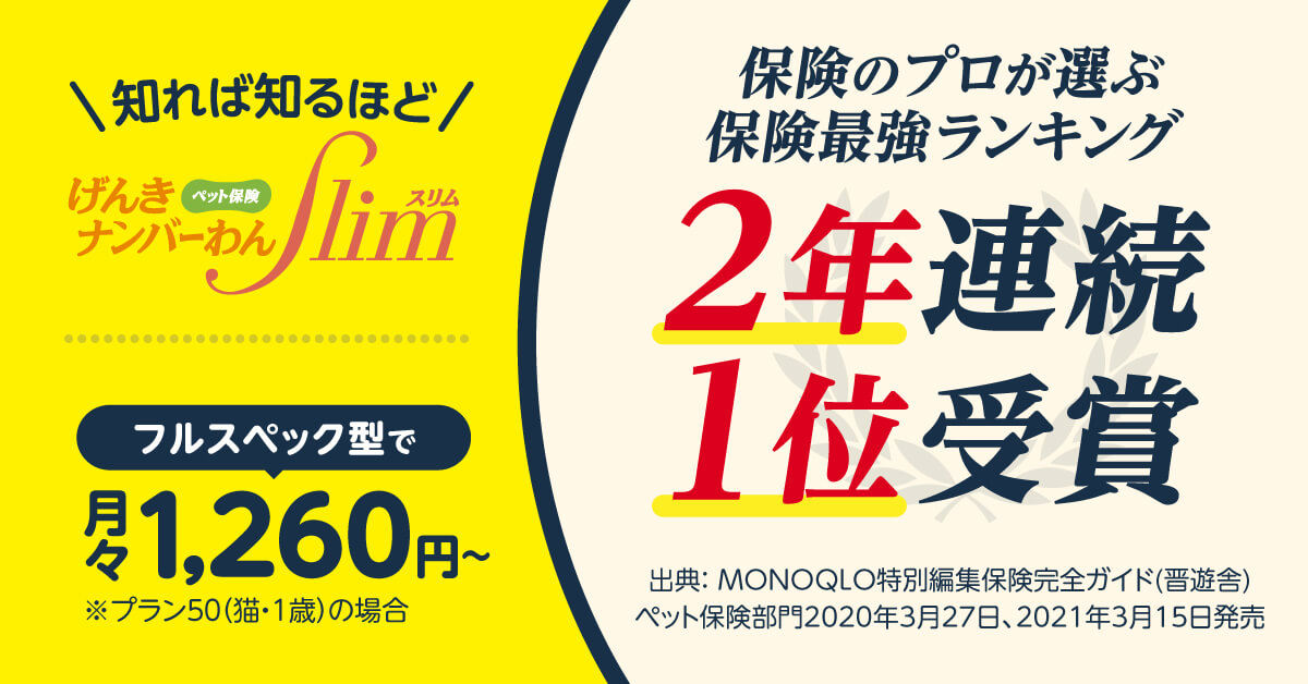 保険最強ランキング２年連続１位のペット保険_猫