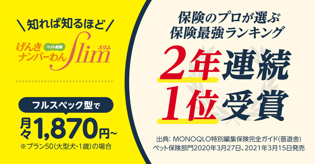 保険最強ランキング２年連続１位のペット保険_大型犬