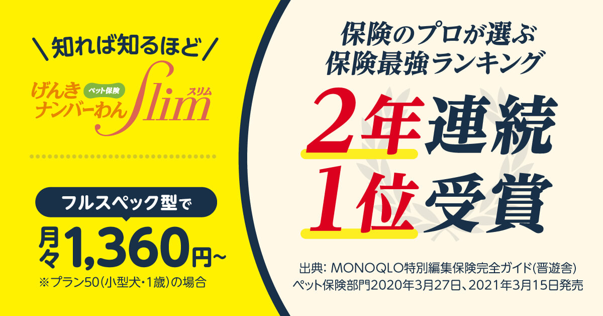 保険最強ランキング２年連続１位のペット保険_小型犬