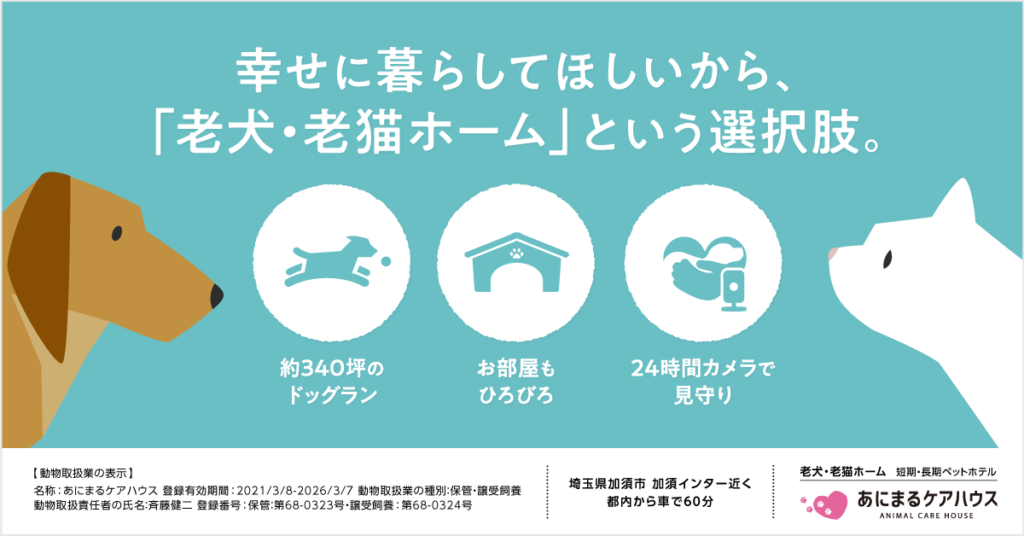 幸せに暮らしてほしいから、「老犬・老猫ホーム」という選択肢|あにまるケアハウス