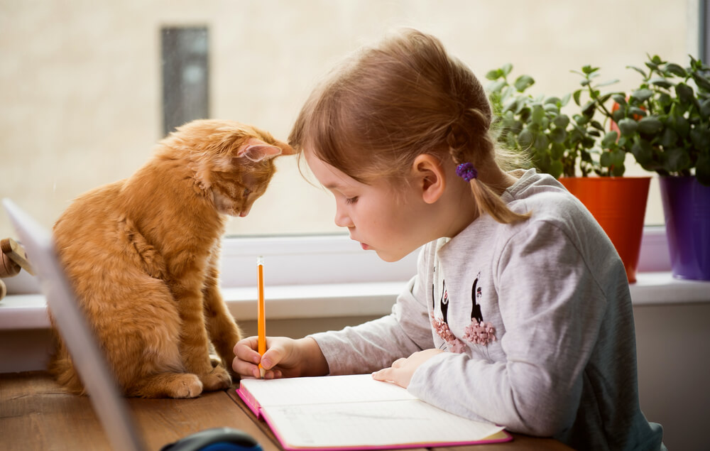 子猫はもっとすごい速さで成長している