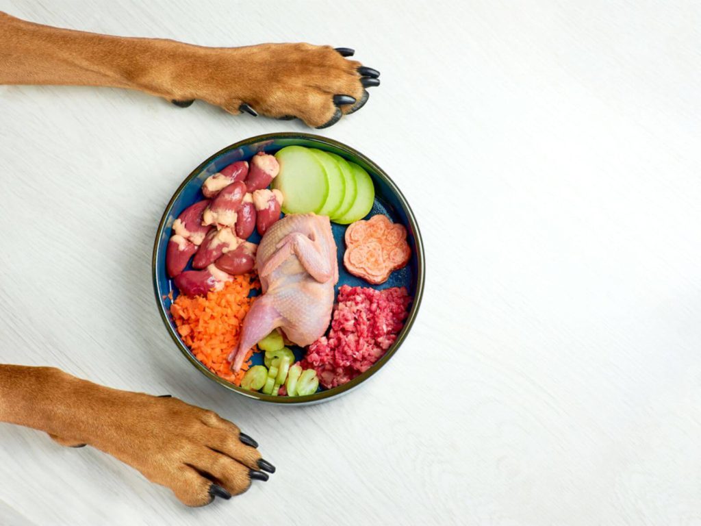 【獣医師監修】犬や猫に生肉は与えないで！犬や猫に肉を与えるときの注意点|連載「獣医さんが教える愛犬・愛猫のごはんのキホン」vol.10