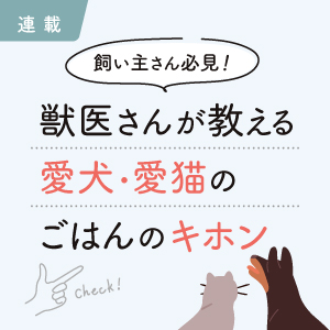 飼い主さん必見！獣医さんが教える愛犬・愛猫のごはんのキホン｜連載｜ペットニュースストレージ