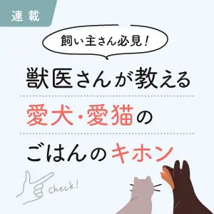 飼い主さん必見！獣医さんが教える愛犬・愛猫のごはんのキホン｜連載｜ペットニュースストレージ