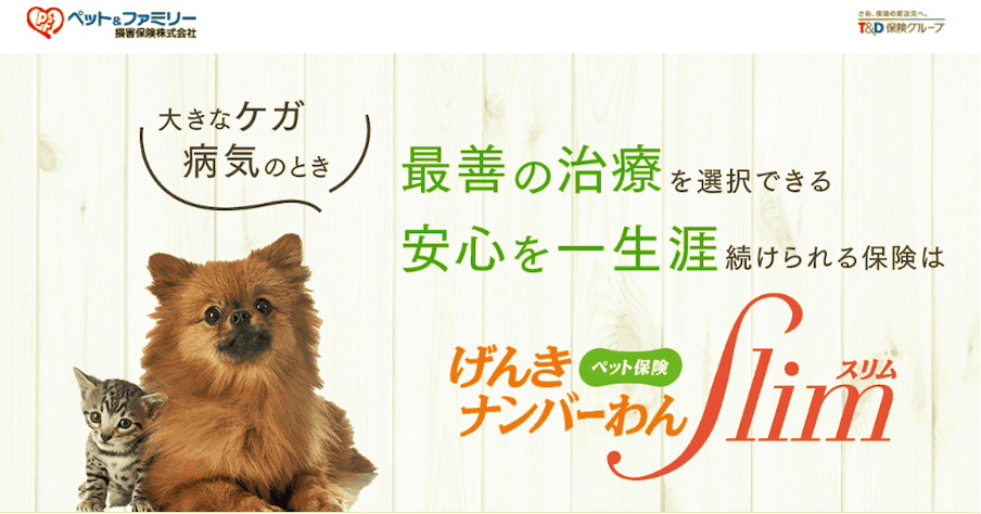 犬・猫の高額な治療費の支払に強いペット保険なら『げんきナンバーわんスリム』