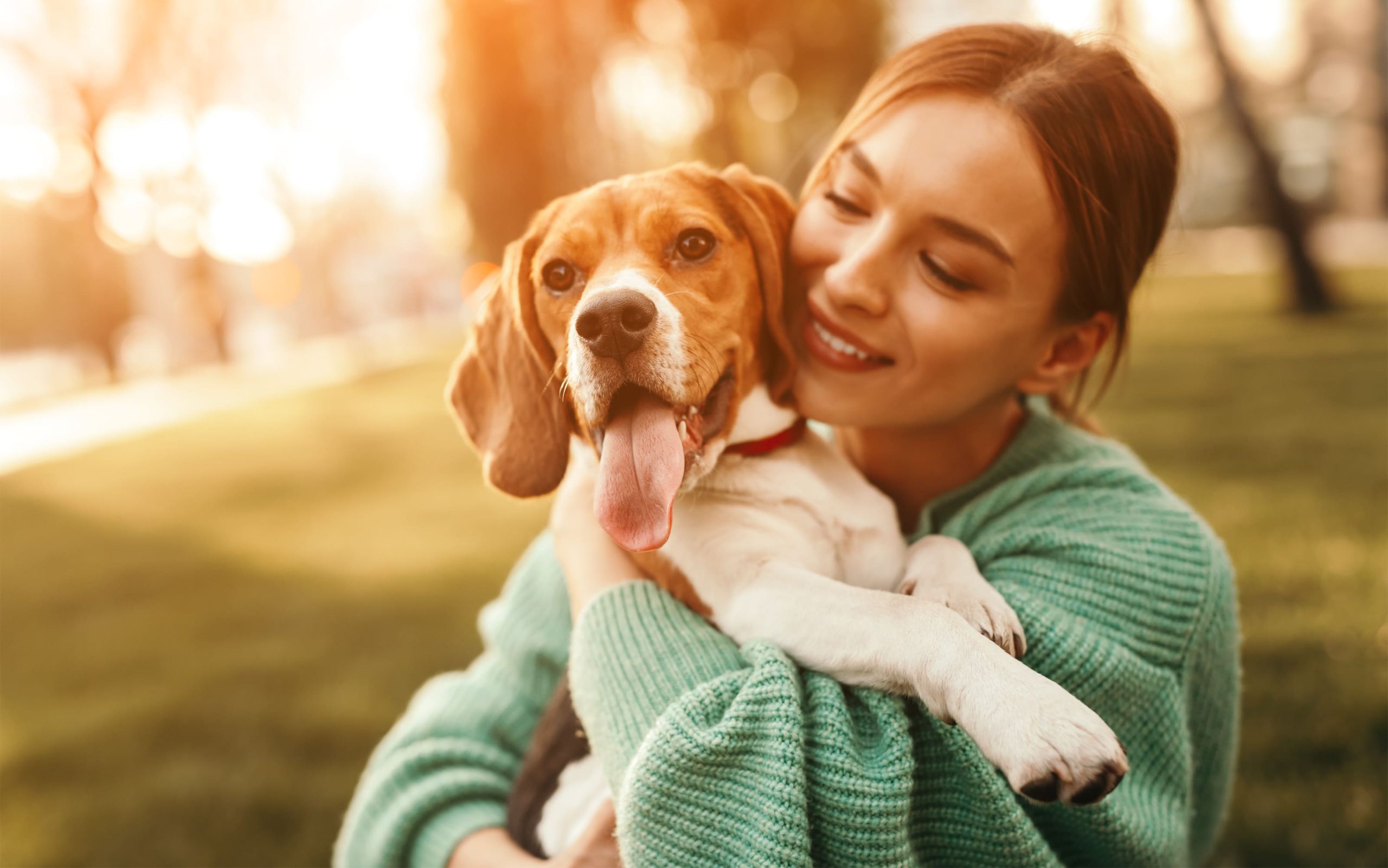 中型犬もペット保険の加入を検討しよう！