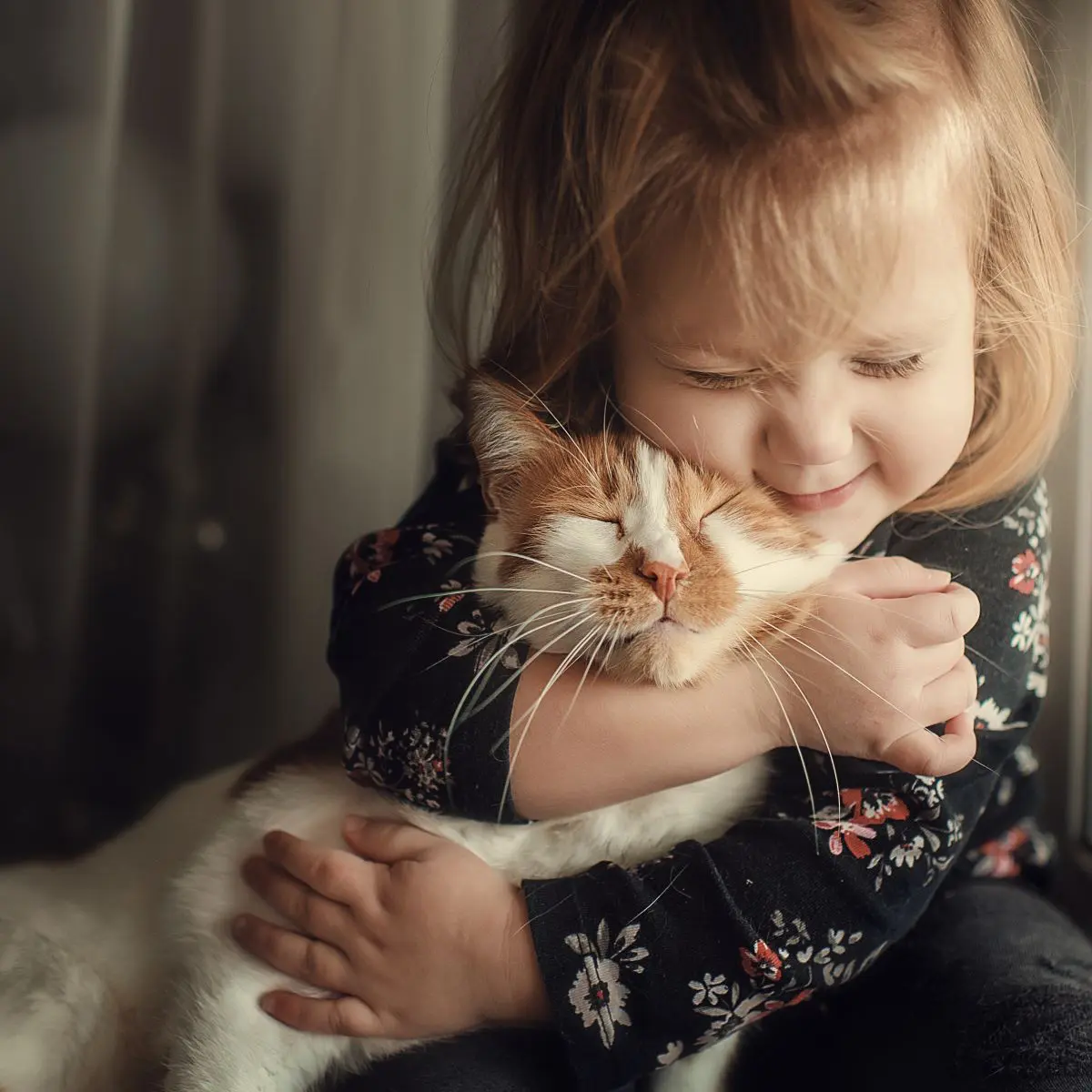 猫 持ち 方