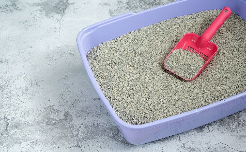 自然の砂に近い猫砂が人気