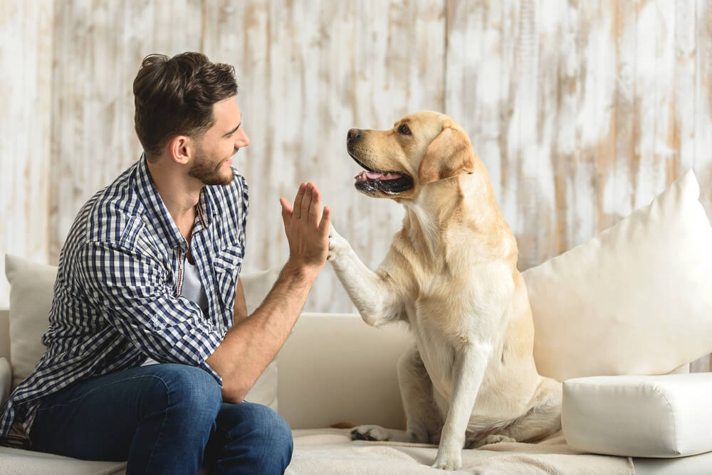 失敗しない愛犬の名づけのポイント