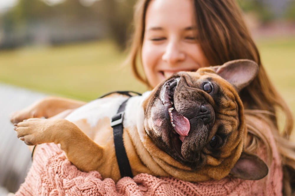 幸運を呼ぶ！？縁起のよい愛犬の名付けのヒント