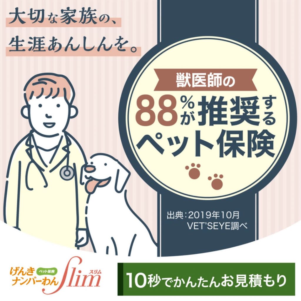 獣医師の88%が推奨するペット保険「げんきナンバーわんスリム」ペット＆ファミリー損保