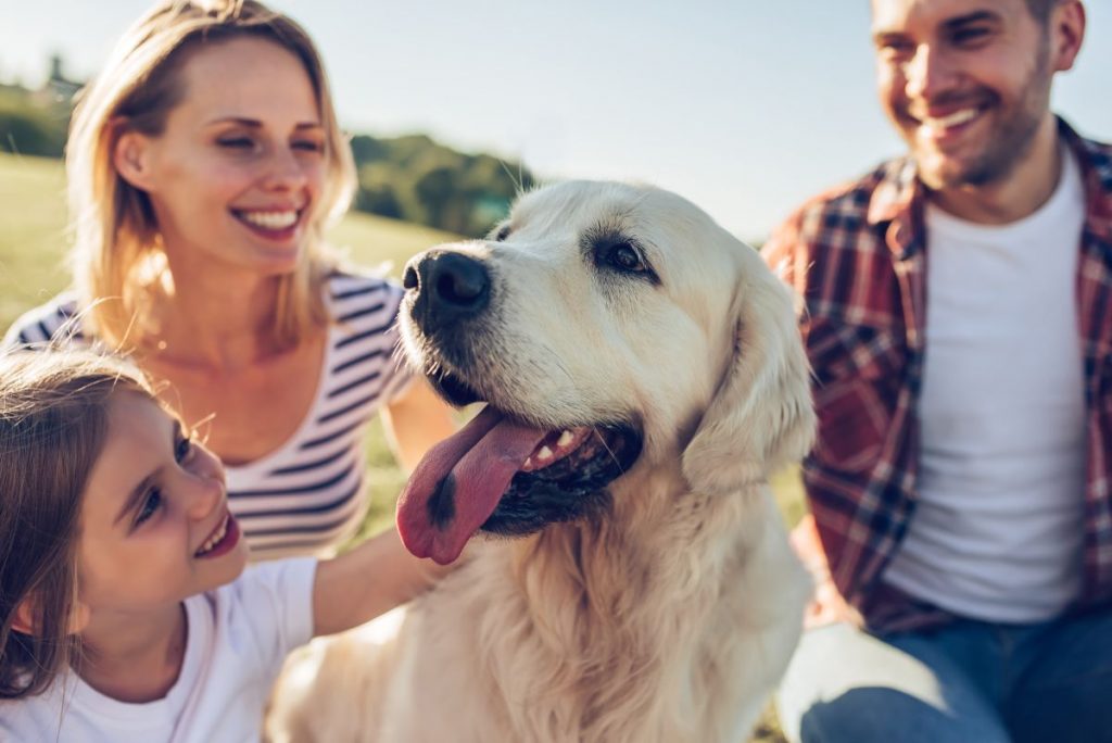 はじめて犬を飼う人が準備すべきことは？心構え・必須アイテムを解説