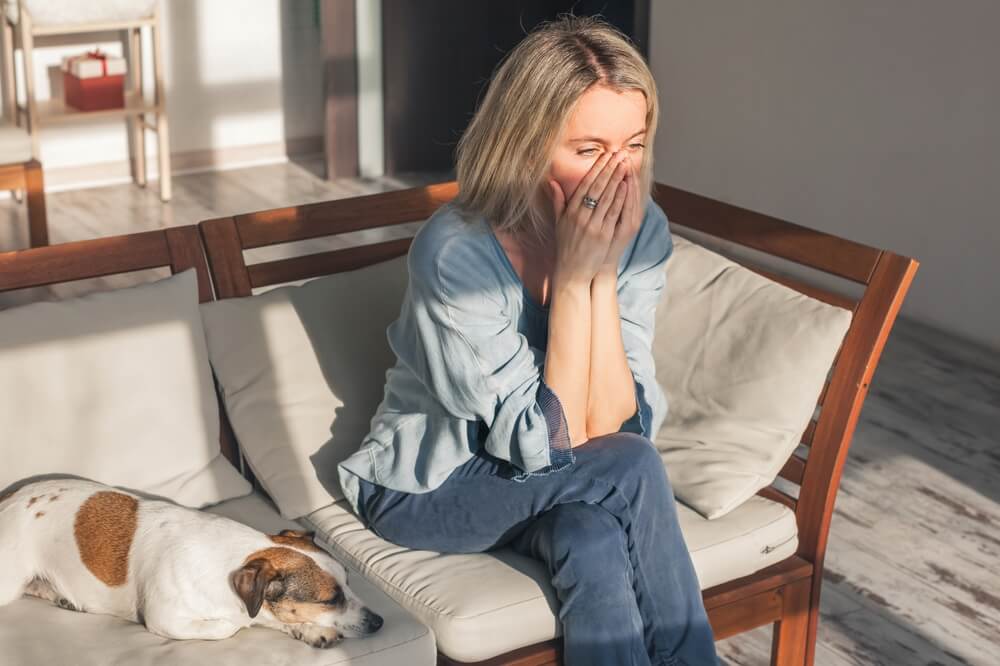 下位の犬を優先するなど、飼い主さんは不適切な干渉をしない