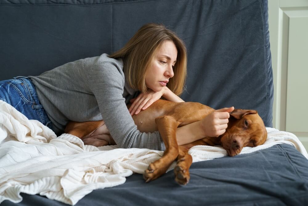 犬の高額な治療費が払えない！でも治療は受けさせたい…そんなときの対処法