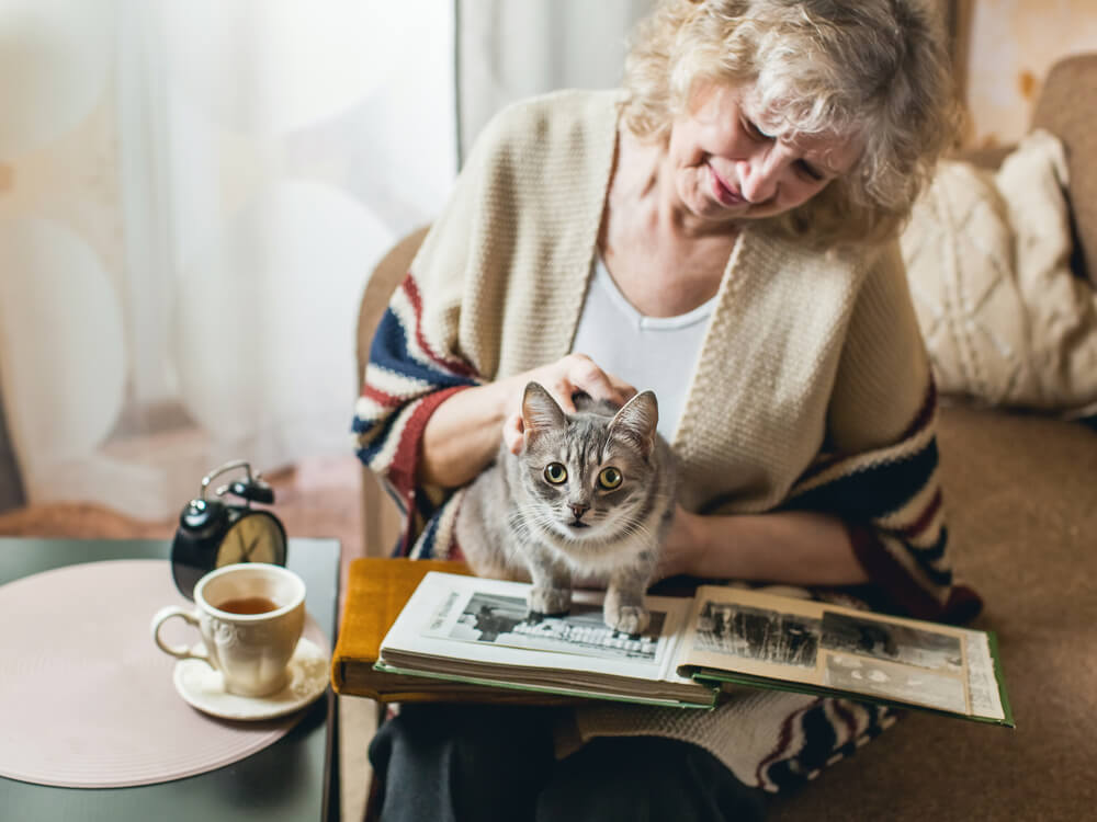 シニア世代が猫を飼うときにやるべき準備