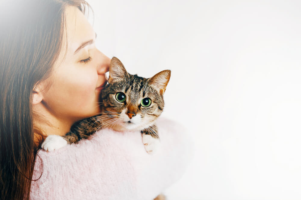 猫を飼うのに向いている人・向いていない人