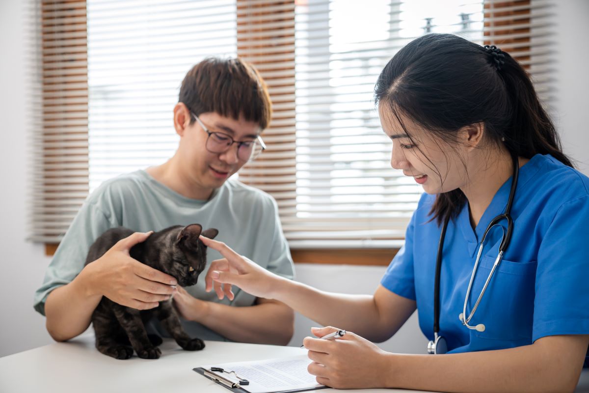 【獣医師監修】愛猫の体調不良のサインとは？毎日の健康管理のポイント