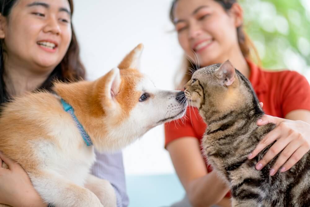 ペットショップでペットを飼うのは悪いこと？