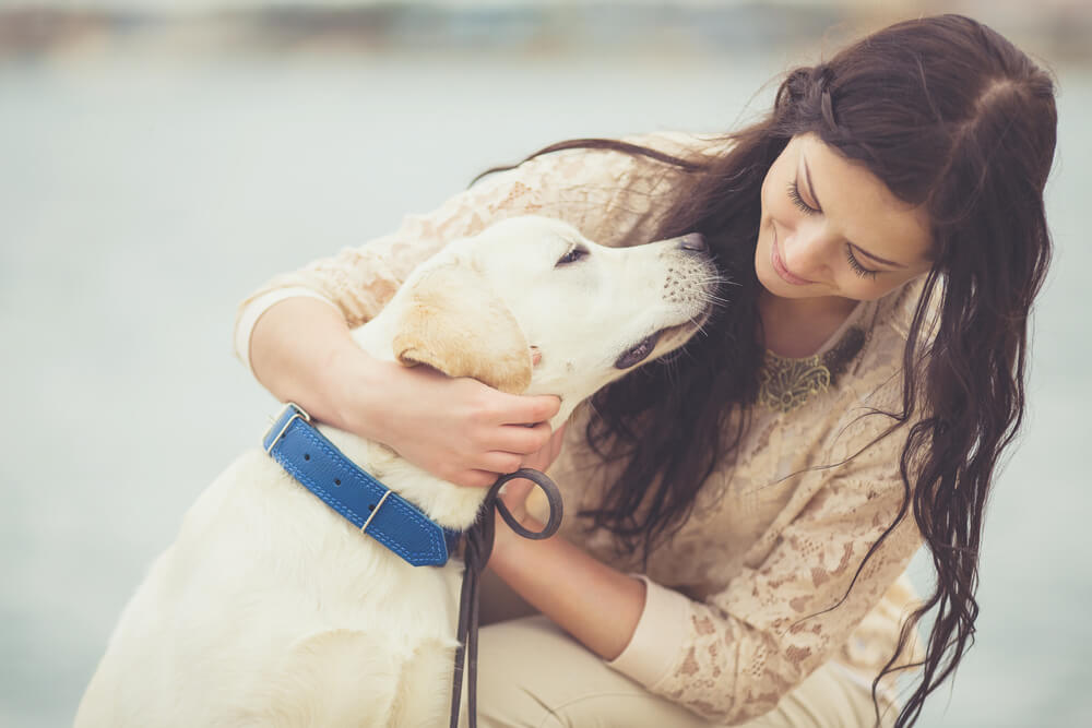 鳴き声を抑えるために、子犬期にしたいトレーニング