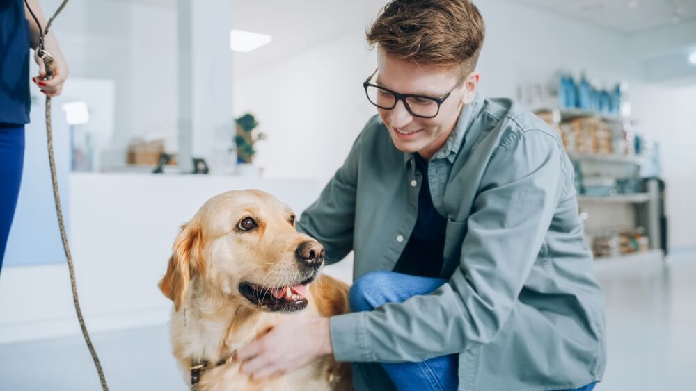 保護犬を迎えるメリット