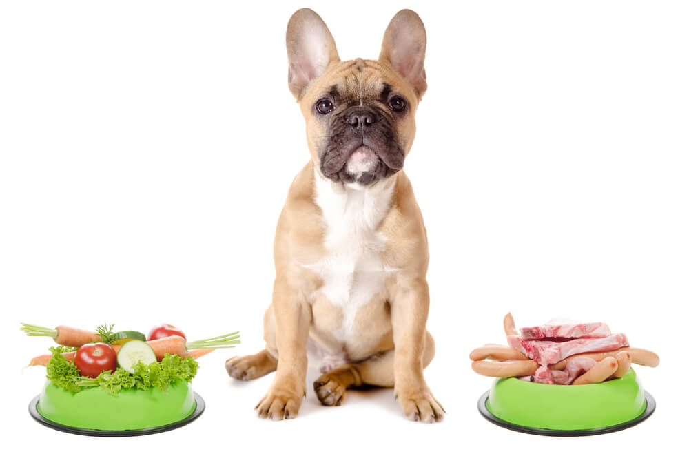 犬に与えてはいけない食べ物