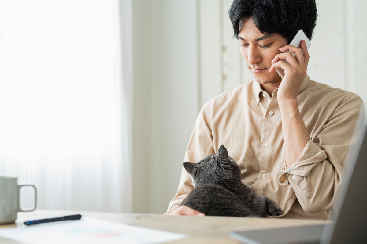 ペット保険の加入に関するよくある質問