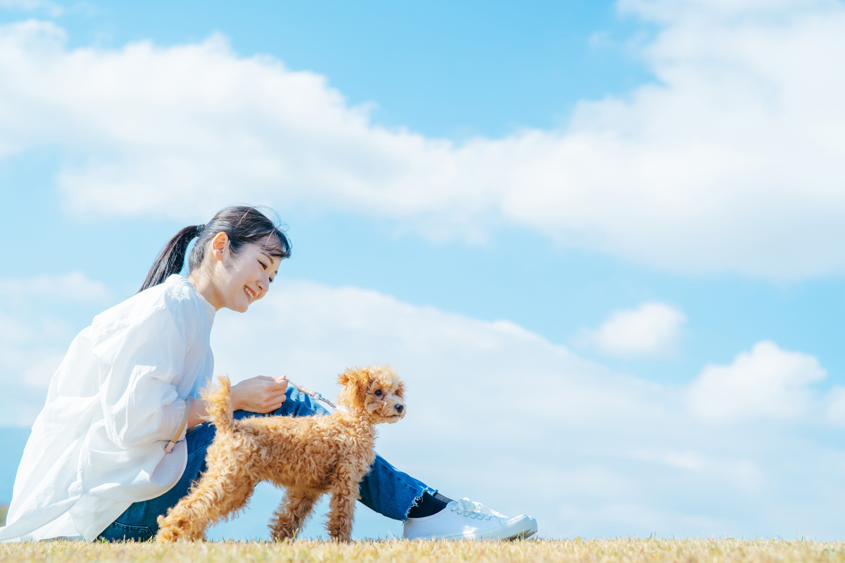 ペットの健康を考えるならペット保険がおすすめ