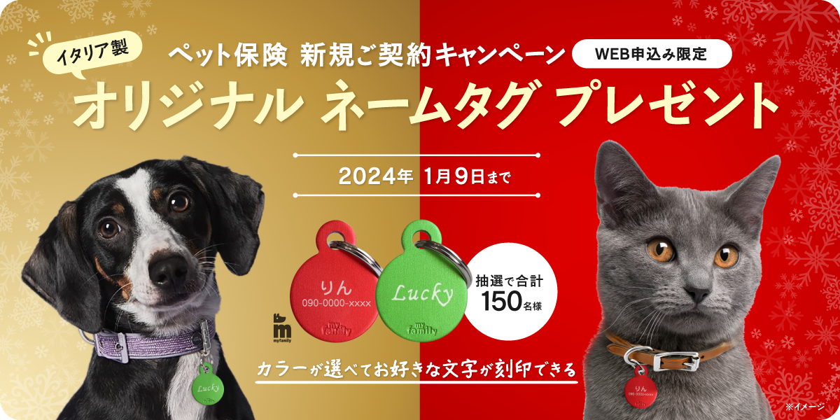 【2024年1月9日まで】ペット保険新規加入者に抽選で「オリジナルネームタグ」プレゼント！|「げんきナンバーわんスリム」ペット＆ファミリー損保