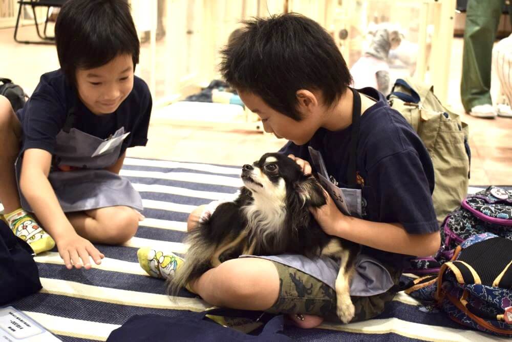 まずは触れあってみることから！保護犬たちに会ってみよう