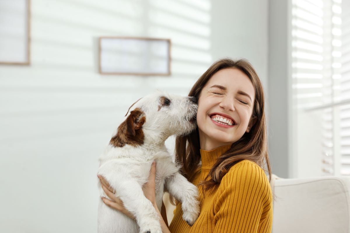 犬を飼って後悔したことがある人は26.5％！何で後悔するの？「後悔しない人」との違いを徹底調査
